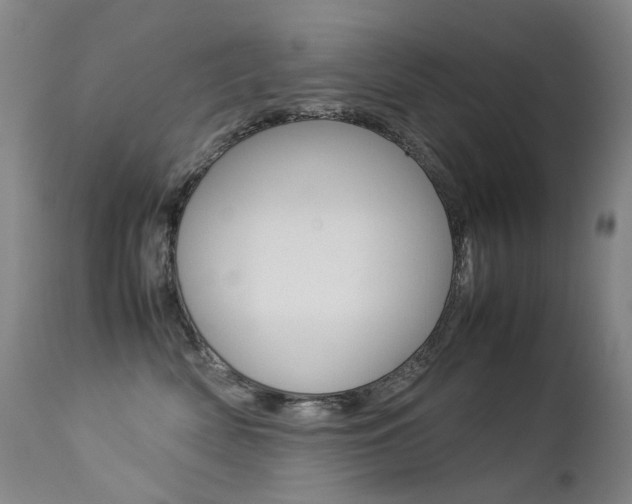 X0000113210522200909100950