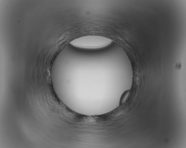 X0000113210523200909100950