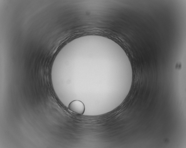 X0000113210524200909100950