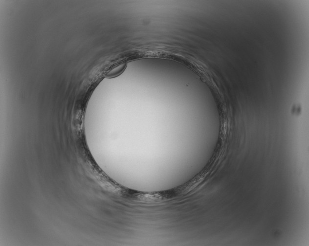 X0000113210525200909100950