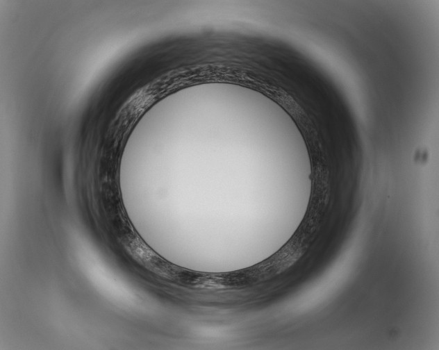 X0000113210526200909100950