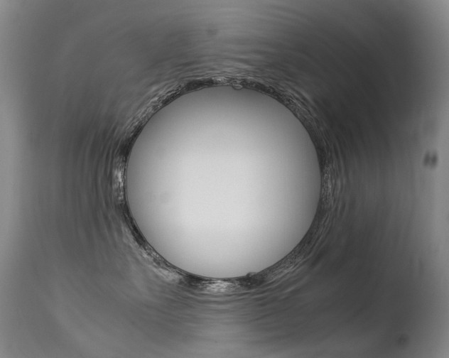 X0000113210527200909100950