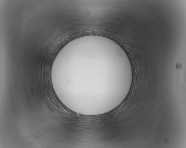X0000113210528200909100950