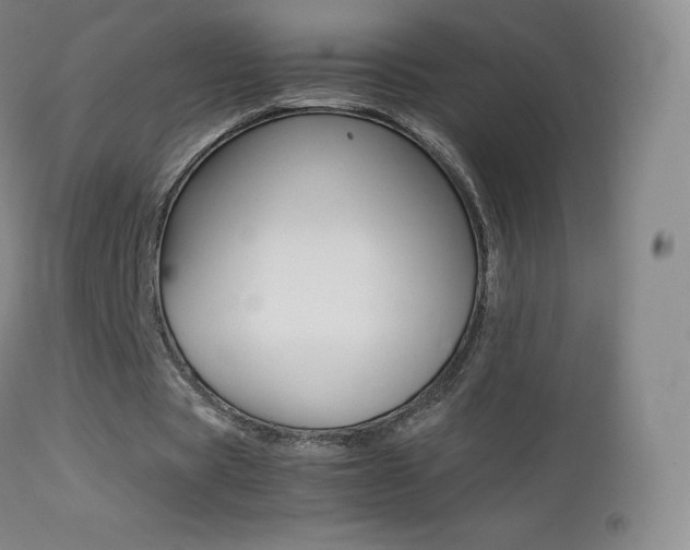 X0000113210529200909100949