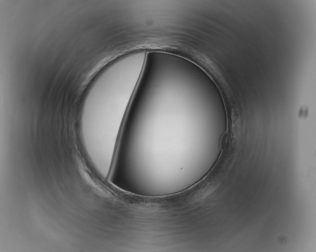 X0000113210530200909100949