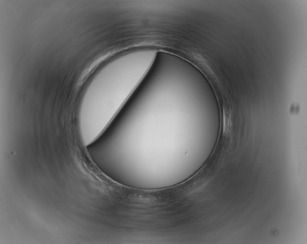 X0000113210531200909100949