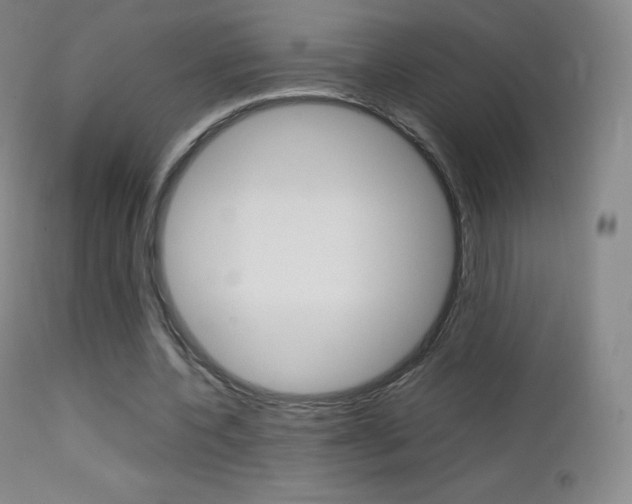 X0000113210532200909100949