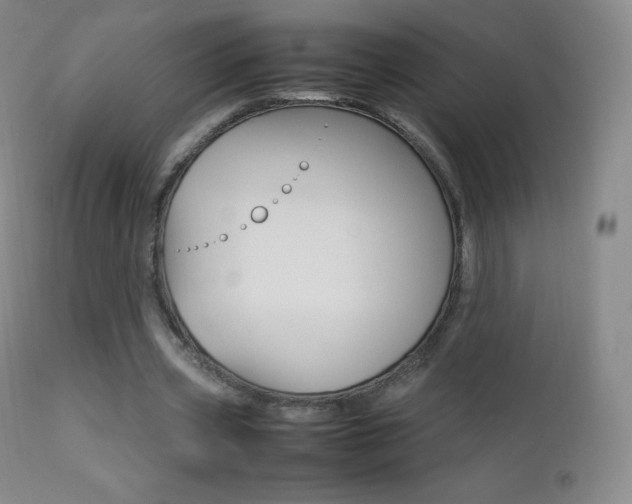 X0000113210533200909100949