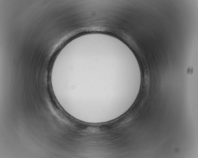 X0000113210534200909100949