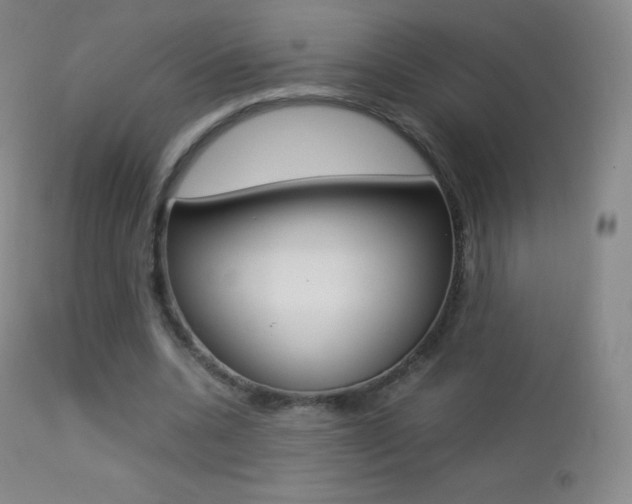X0000113210536200909100949