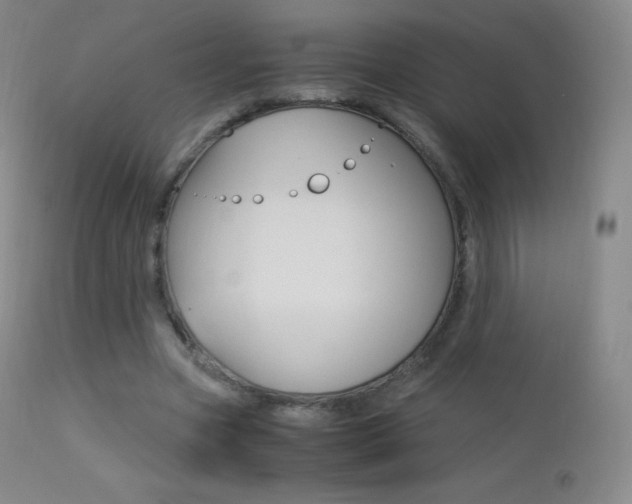 X0000113210537200909100949