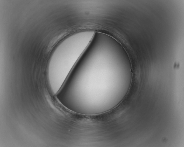 X0000113210538200909100949