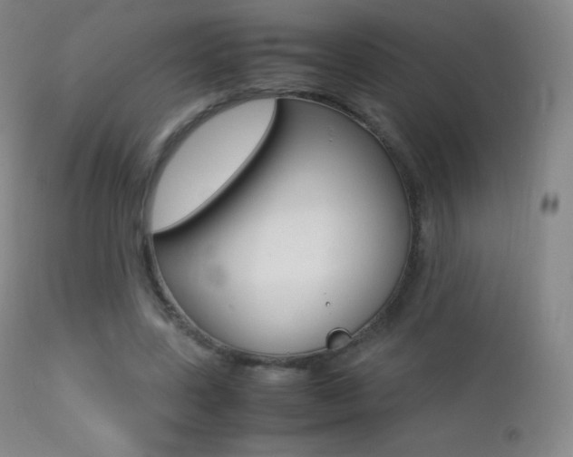 X0000113210539200909100949