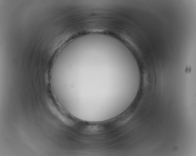 X0000113210541200909100949