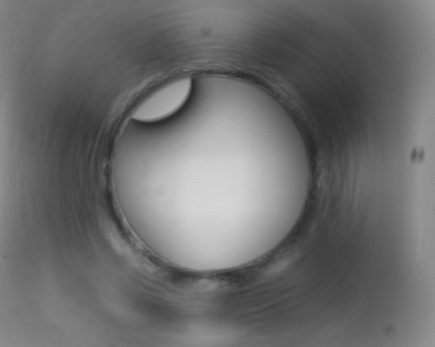 X0000113210542200909100949