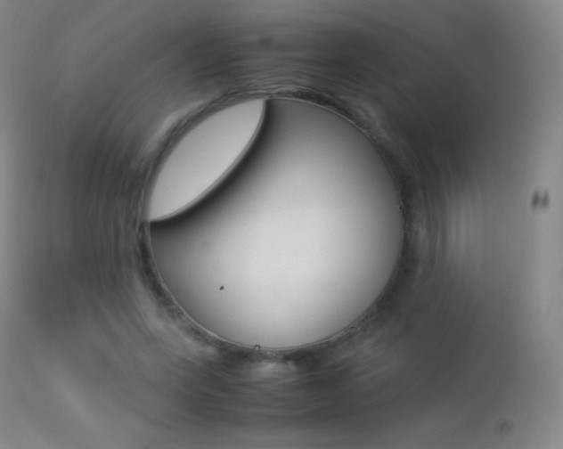 X0000113210543200909100949