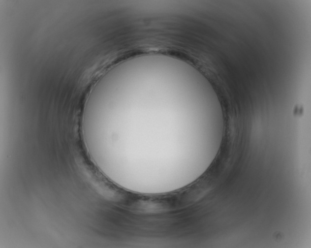 X0000113210545200909100949