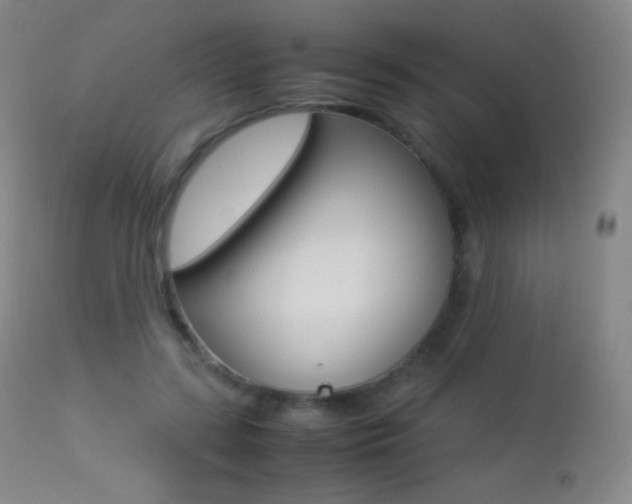 X0000113210547200909100949