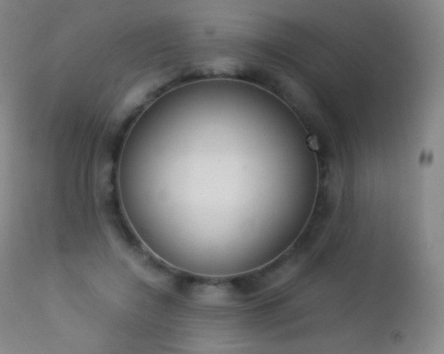 X0000113210548200909100949