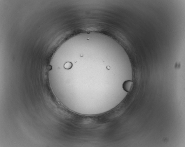 X0000113210549200909100949