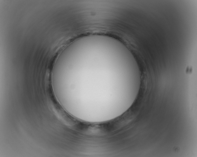 X0000113210550200909100949