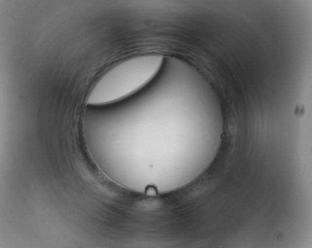 X0000113210551200909100949