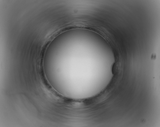 X0000113210552200909100949