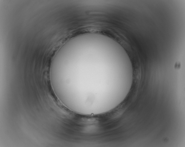 X0000113210553200909100949