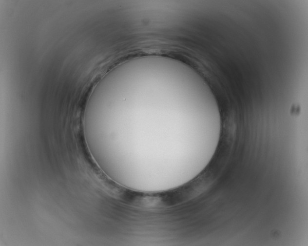 X0000113210554200909100949