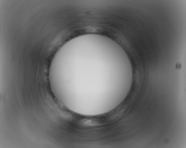 X0000113210557200909100949