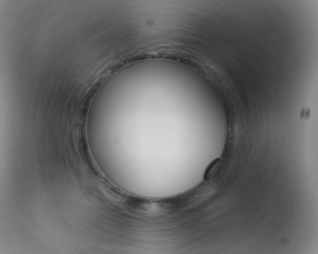 X0000113210558200909100949