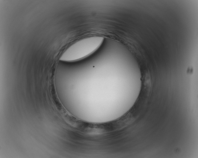 X0000113210559200909100949