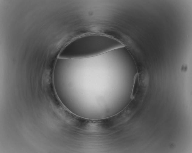 X0000113210560200909100949