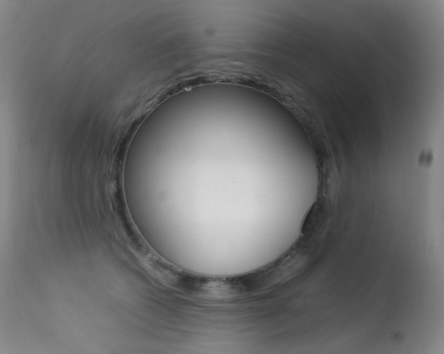 X0000113210562200909100949