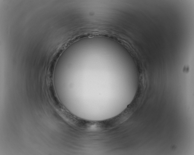 X0000113210564200909100949