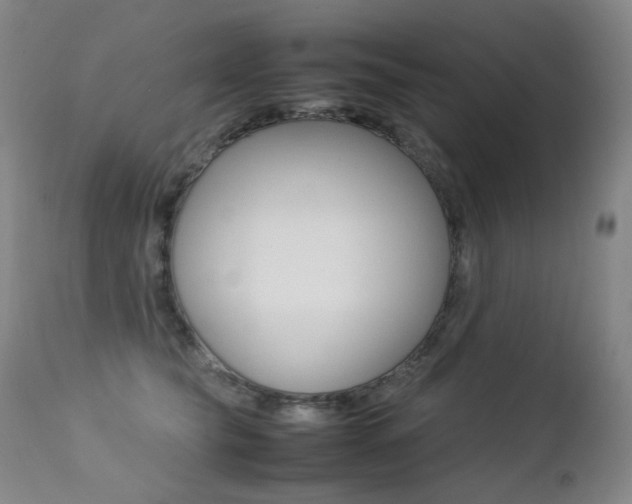 X0000113210565200909100950