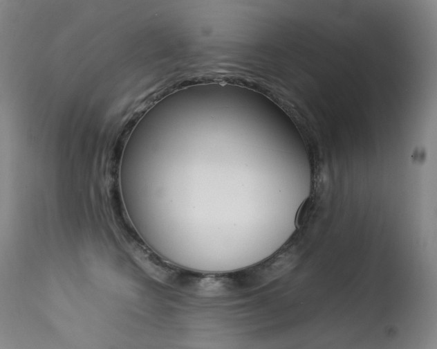 X0000113210566200909100950