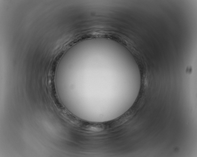 X0000113210567200909100950