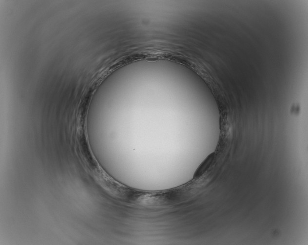X0000113210568200909100950