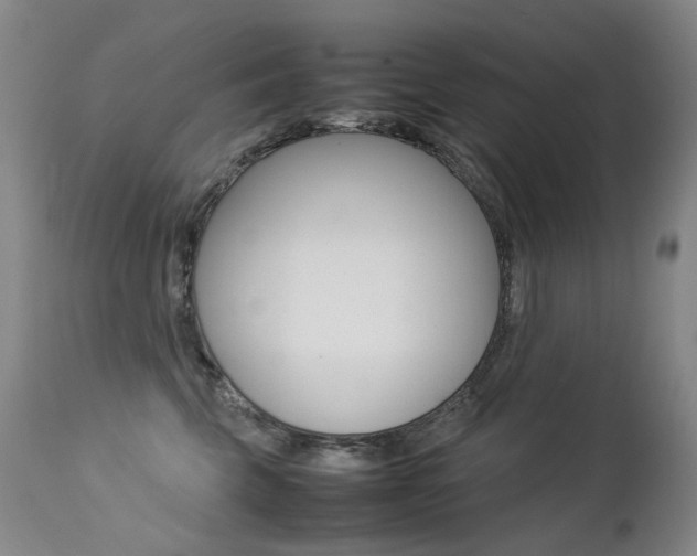 X0000113210569200909100950