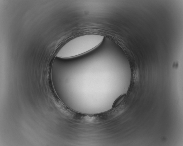 X0000113210570200909100950
