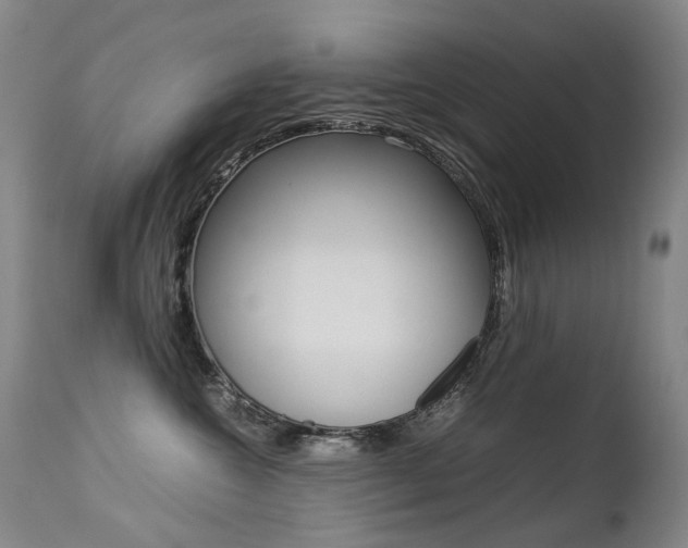 X0000113210572200909100950