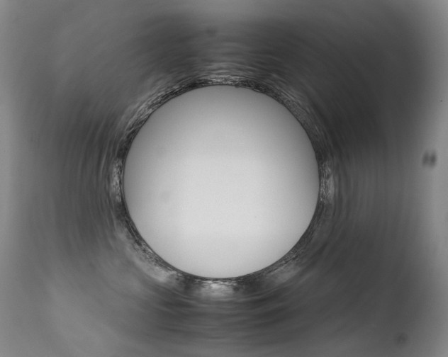 X0000113210573200909100950