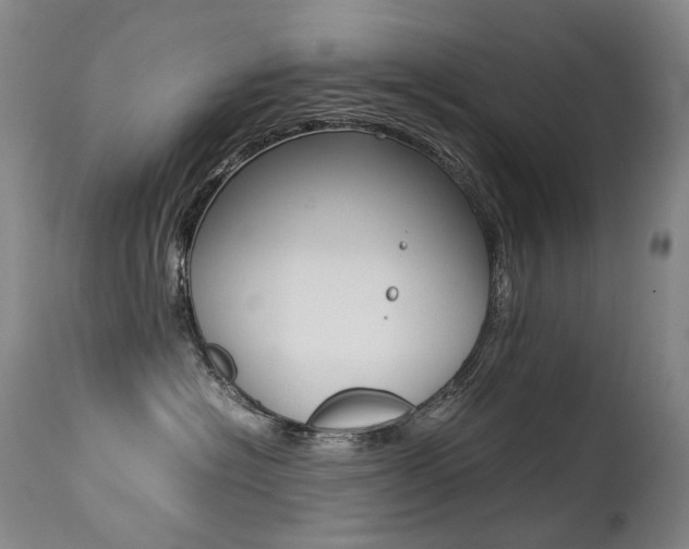 X0000113210574200909100950