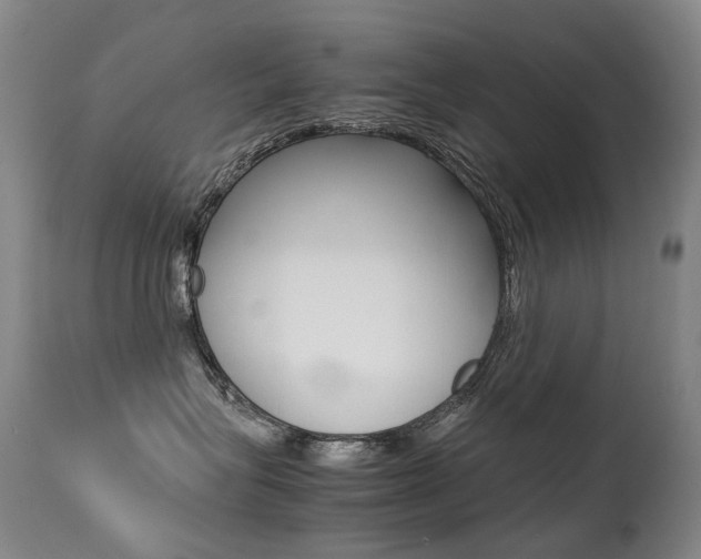 X0000113210575200909100950