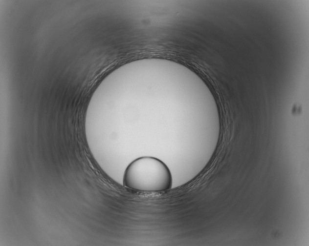 X0000113210576200909100950