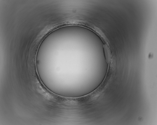 X0000113210577200909100949
