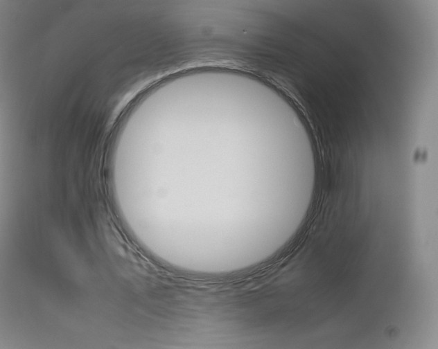 X0000113210579200909100949