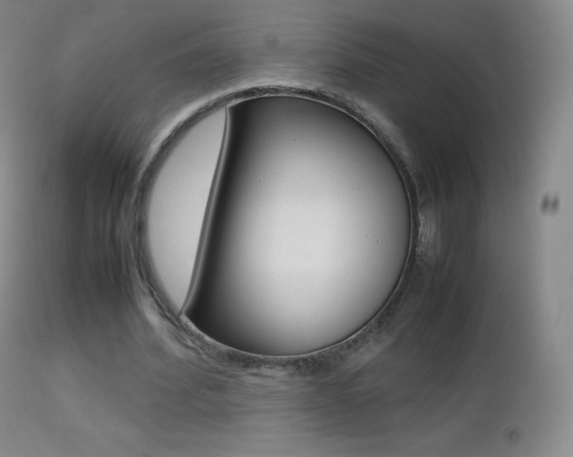 X0000113210580200909100949