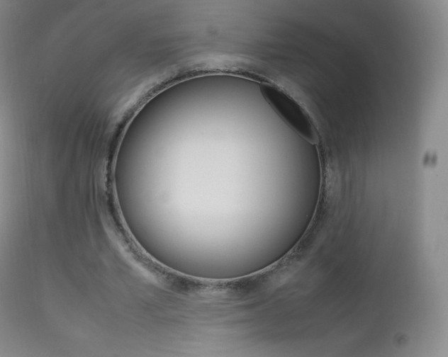 X0000113210581200909100949
